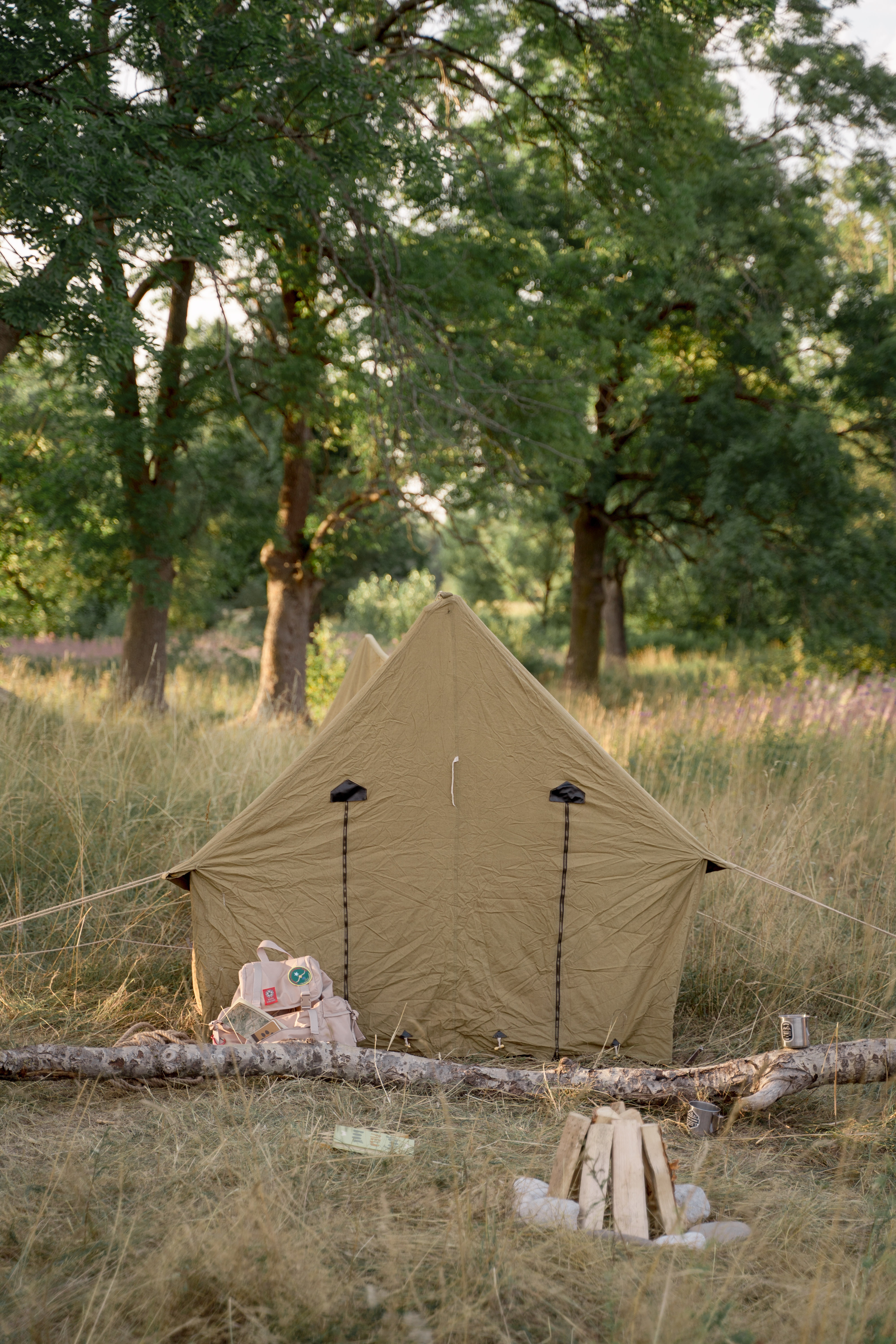 Camping nature, tente