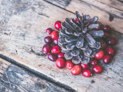 Astuces pour un Noël au naturel