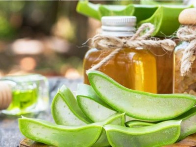 Les bienfaits du gel d'aloe vera sur le corps