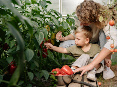 Comment faire apprécier les légumes aux enfants ?