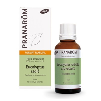 Huile essentielle Ecalyptus radié